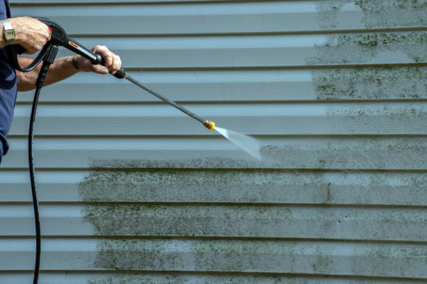 Animal Enclosure Cleaning in Muenster, TX