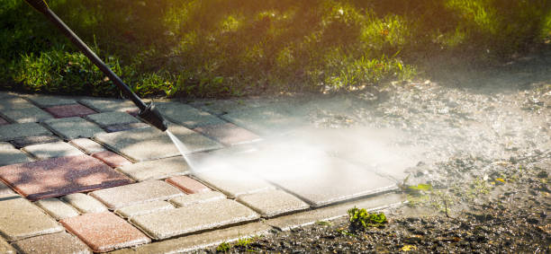 Best Fence Cleaning  in Muenster, TX